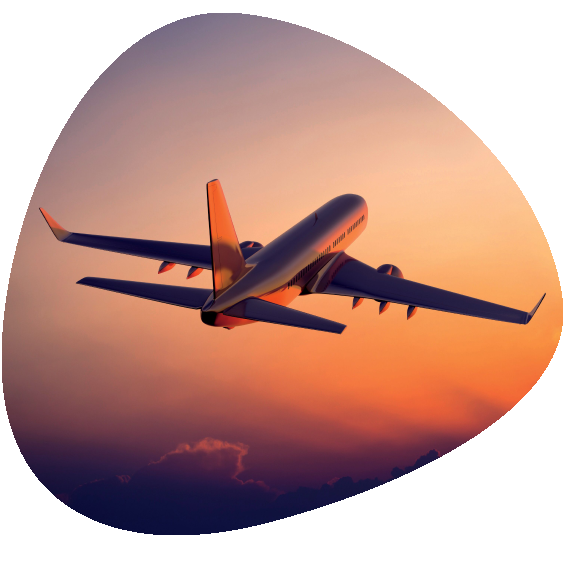 Air Transportation